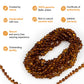 Amber Necklace for Adults, Cognac, Polished