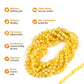 Infographic with a Bunch of Necklaces Showing Benefits of Amber Guru Butterscotch Baltic Amber Teething Necklaces with Polished Beads